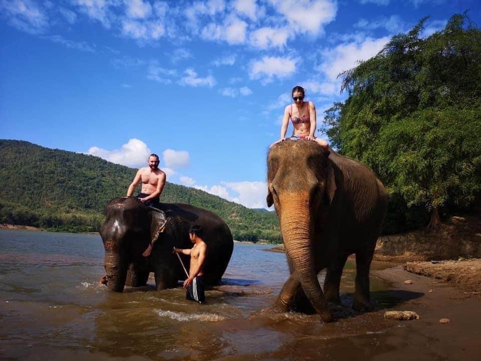 Elephant Bathing