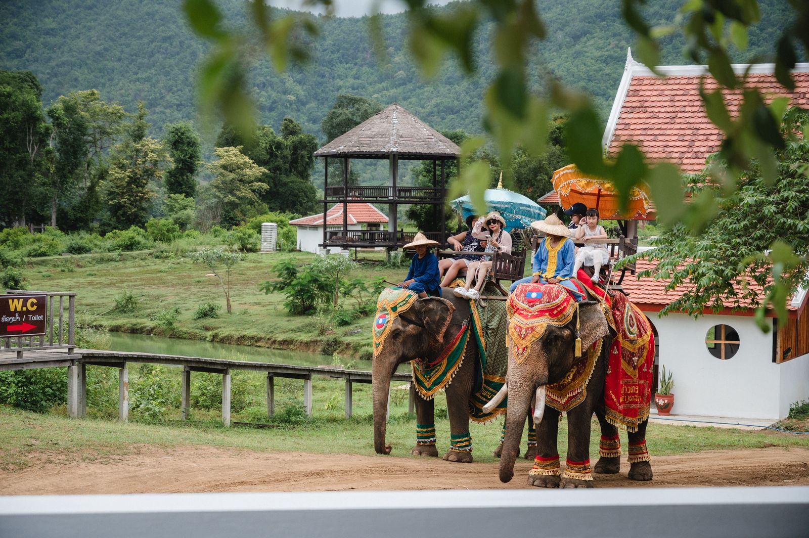Elephant Riding