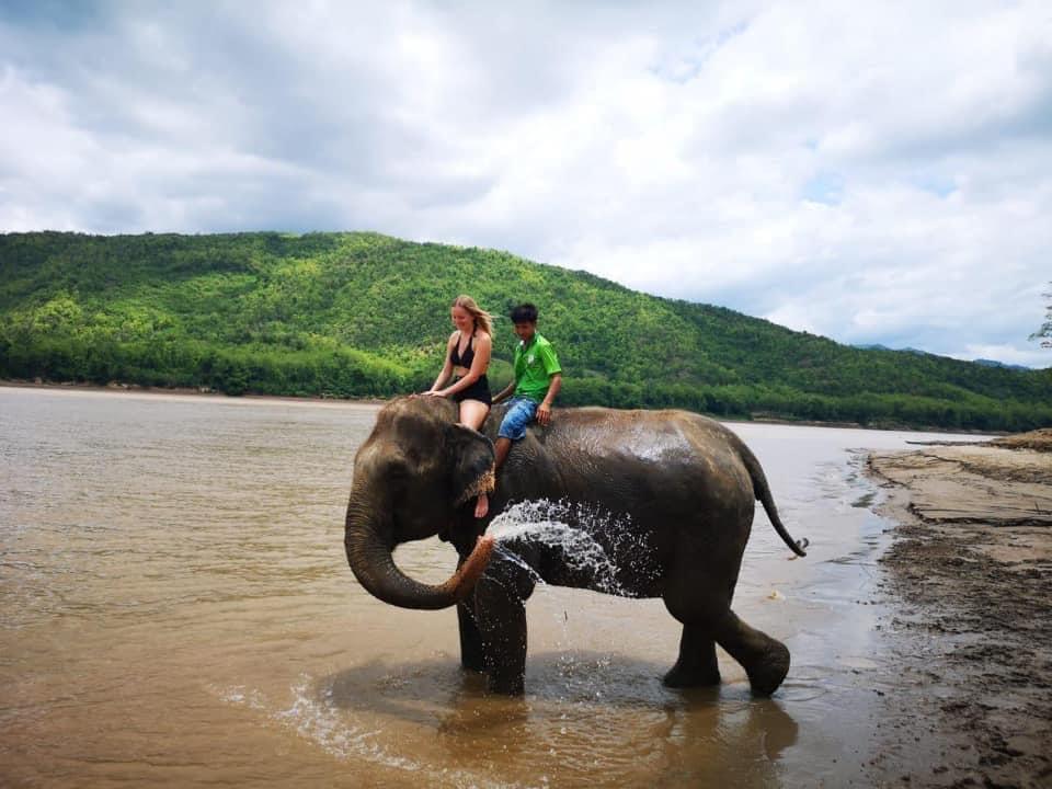 Elephant Bathing