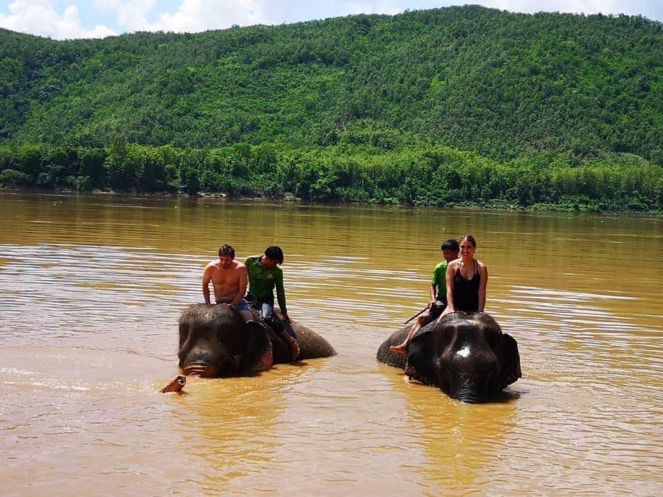 Elephant Bathing