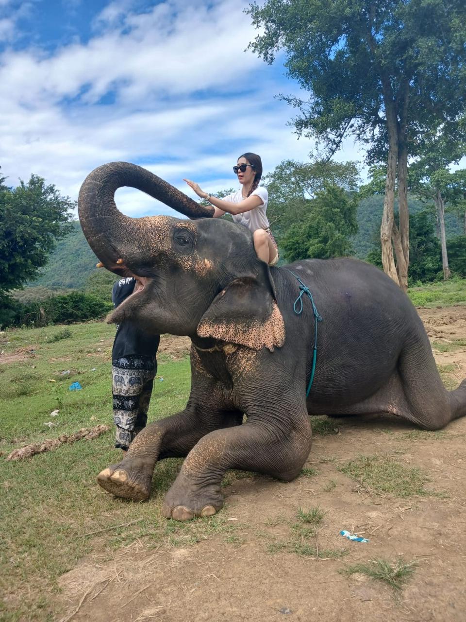 Elephant Bathing