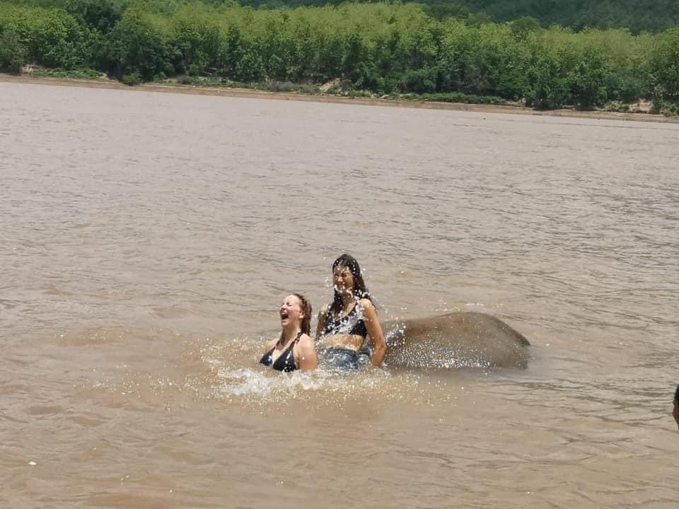 Elephant Bathing