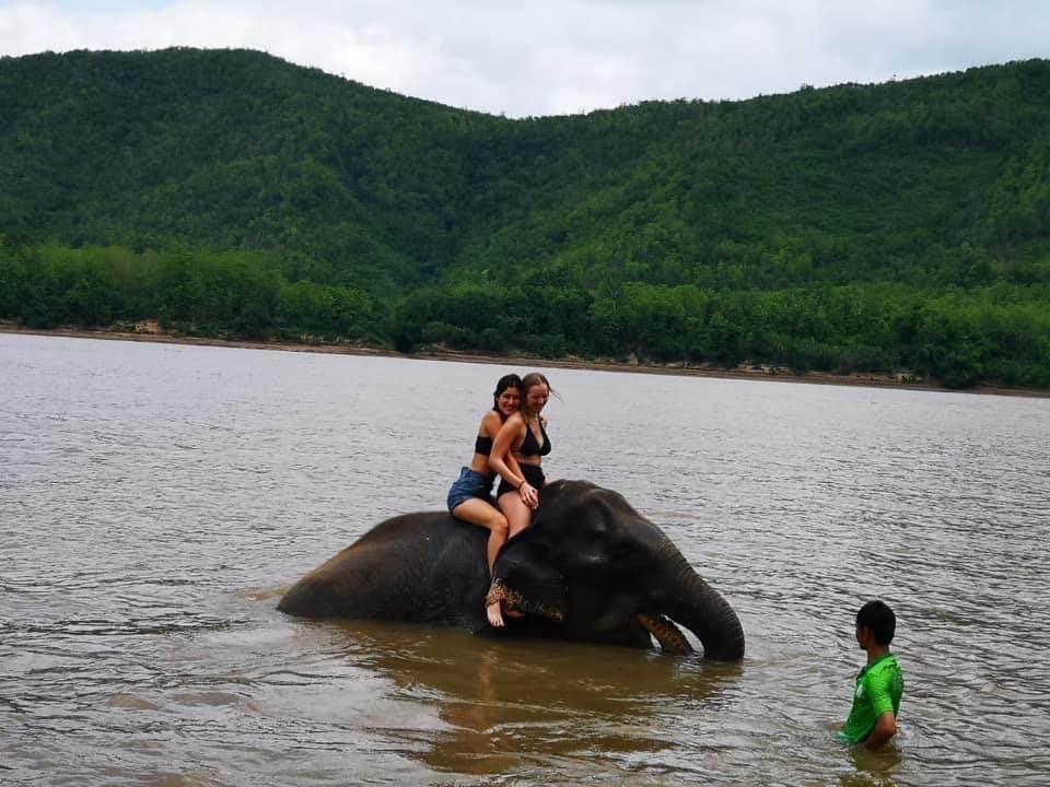 Elephant Bathing