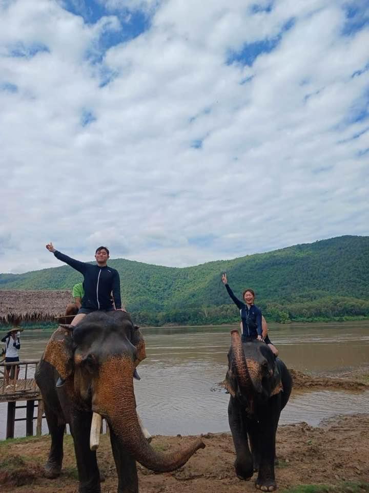 Elephant Bathing