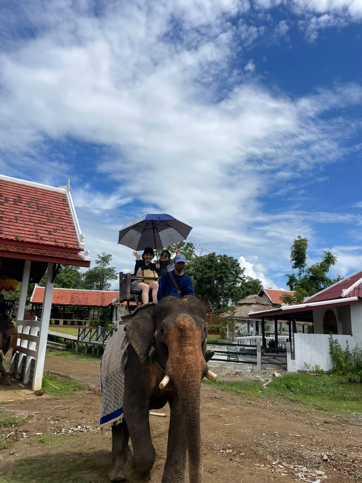 Elephant Riding