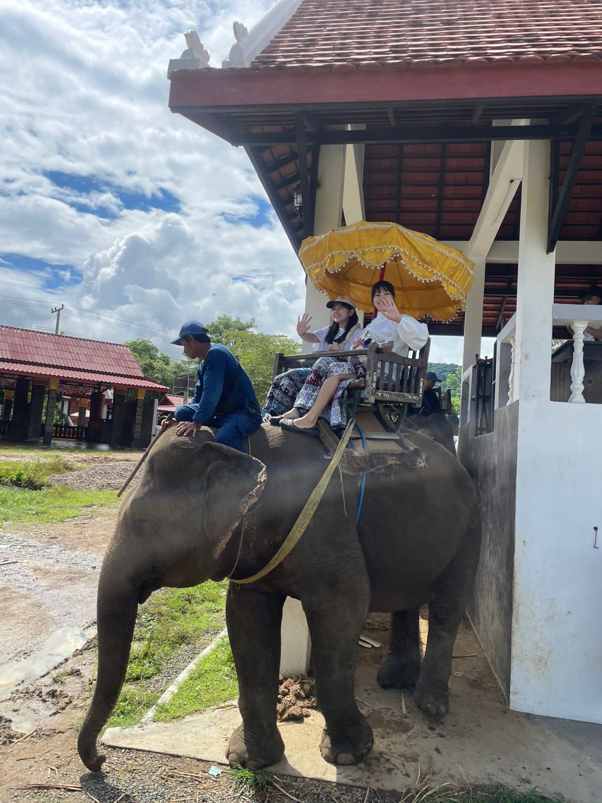 Elephant Riding