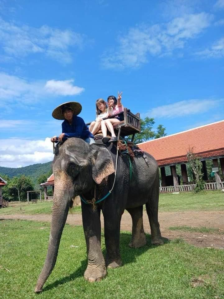 Elephant Riding