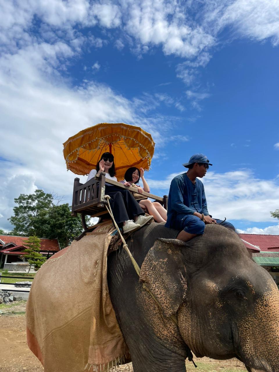 Elephant Riding