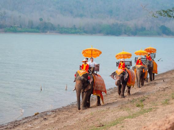 Elephant Riding