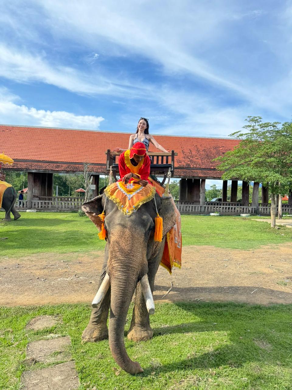 Elephant Riding