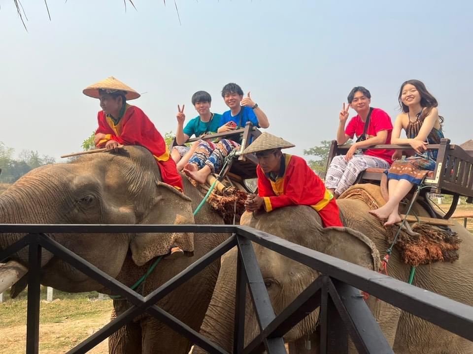 Elephant Riding