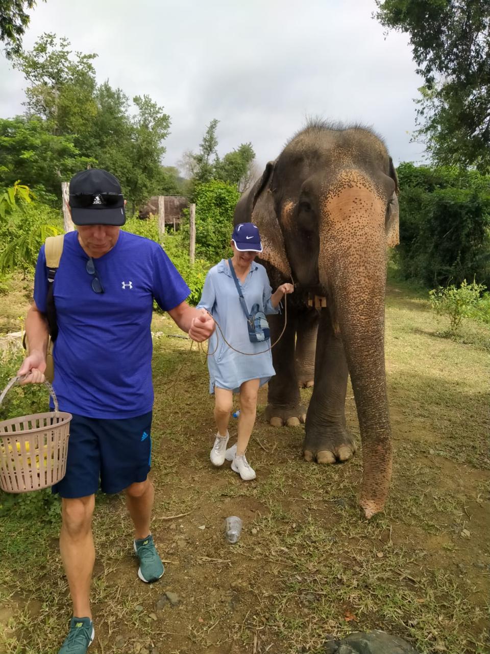 Walking with Elephants