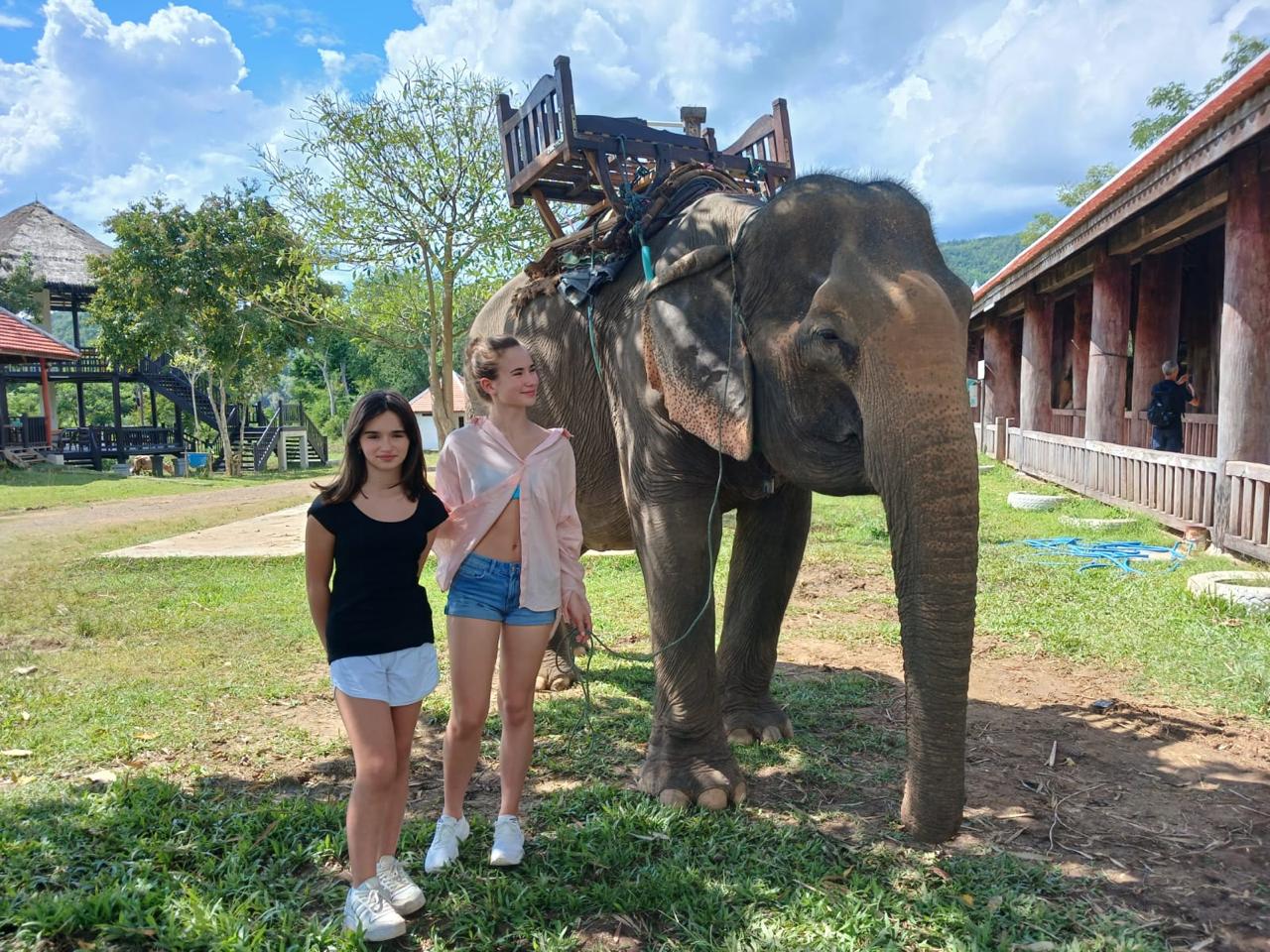 Walking with Elephants